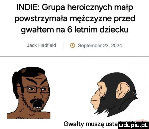 indie grupa heroicznych małp powstrzymała mężczyznę przed gwałtem na   letnim dziecku jack hashe d september            gwary muszą usta iupiu. pl