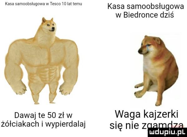 kasa samoobsmgowe w iesco lo a temu j dawaj te    zł w żółciakach i wypierdalaj kasa samoobsługowa w biedronce dziś waga kajzerki s   zlhl pi u l