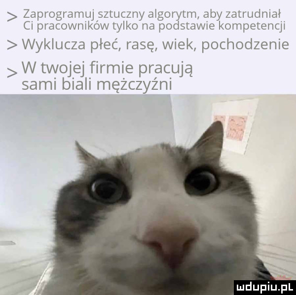 zaprogramuj sztuczny algorytm aby zatrudniał ci pracowników tylko na podstawie kompetenqi wyklucza pleć rasę wiek pochodzenie w twojej firmie prlaeują sami biali mezczyzni