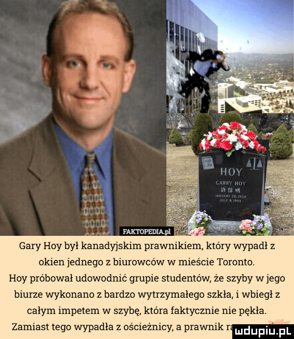 gary hoy był kanadyjskim prawnikiem który wypadł z okien jednego z biurowców w mieście toronto. hoy próbował udowodnić grupie studentów że szyby w jego biurze wykonano z bardzo wytrzymałego szkła i wbiegł z całym impetem w szybę ktora faktycznie nie pękła. zamiast tego wypadła z ościeżnicy a prawnik r