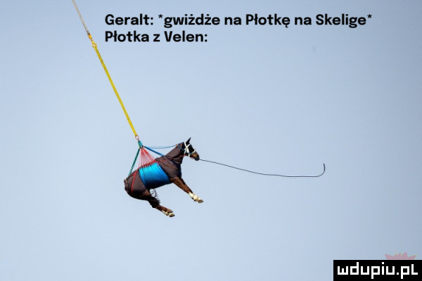 geralt gwiżdże na plotkę na skelige pkol ka z veren