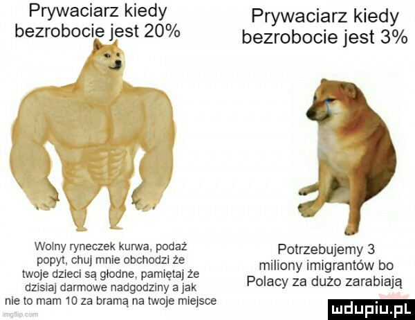 prywaciarz kiedy bezrobocie jest    j x wojny ryneczek kurwa podaż popyt. chuj mnie obchodzl że twoje dzieci są głodne pamiętaj że dzisiaj darmowe nadgodziny a jak nie   mam    za bramą na twoje miejsce prywaciarz kiedy bezrobocie jest   potrzebujemy   miliony imigrantów bo polacy za dużo zarabiają