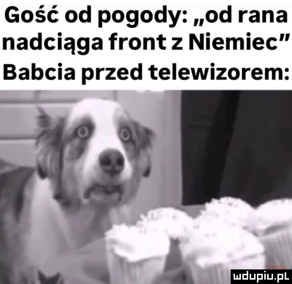 gość od pogody od rana nadciąga front z niemiec babcia przed telewizorem