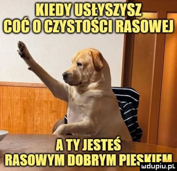 mev ustvszvsz ma czvsmścl nnanu lr   w a ihs i eś basowym iiiibiwm i leslﬂlll ludupiu. fl