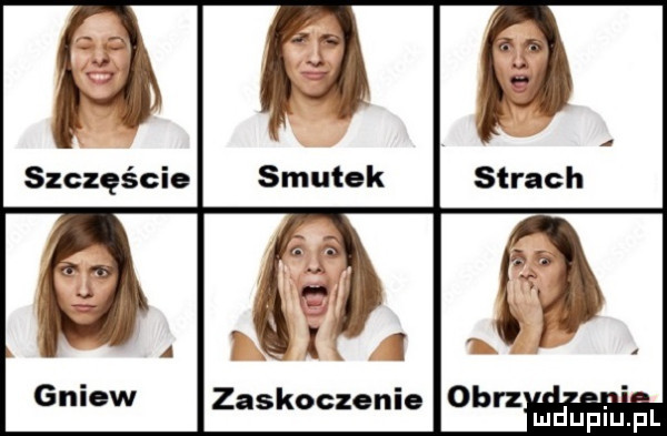 zaskoczenie obóz mduplu pl