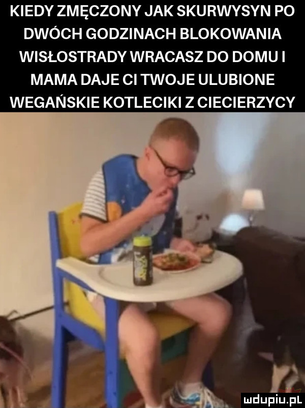 kiedy zmęczony jak skurwysyn po dwóch godzinach blokowania wisłostrady wracasz do domu i mama daje ci twoje ulubione weganskie kotleciki z ciecierzycy