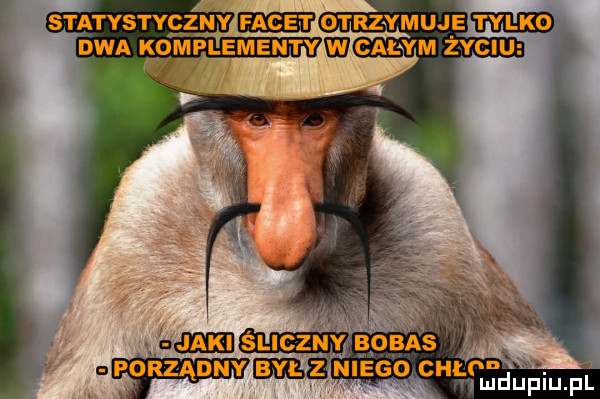 statystyczny facet otrzymujęm