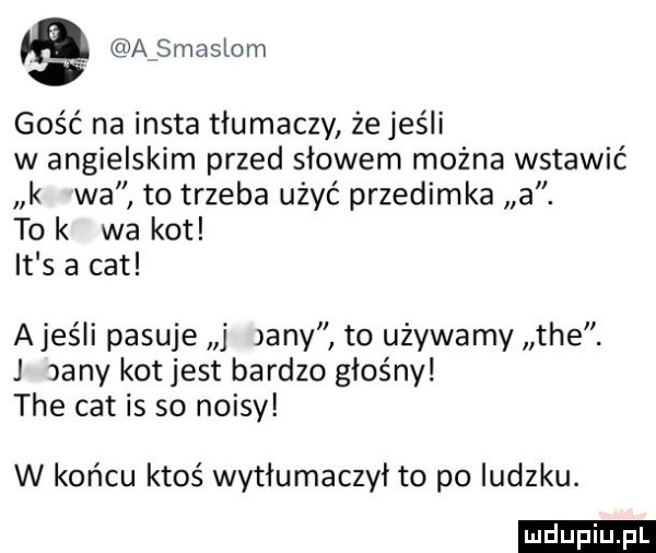 a smaglom gość na insta tłumaczy że jeśli w angielskim przed słowem można wstawić k wa to trzeba użyć przedimka a. to k wa kot it s a cat ajeśli pasuje any to używamy tee. j vany kot jest bardzo głośny tee cat is so noksy w końcu ktoś wytłumaczył to po ludzku. ludu iu. l