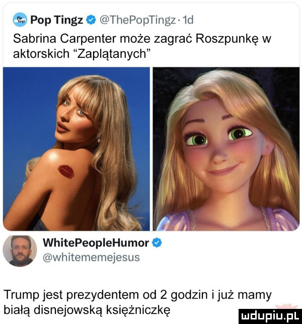 pop tingz o thepoptingz  d sabrina carpenter może zagrać roszpunkę w aktorskich zaplątanych whitepeoplehumor o whitememejesus trump jest prezydentem od   godzin i już mamy białą disnejowską księżniczkę