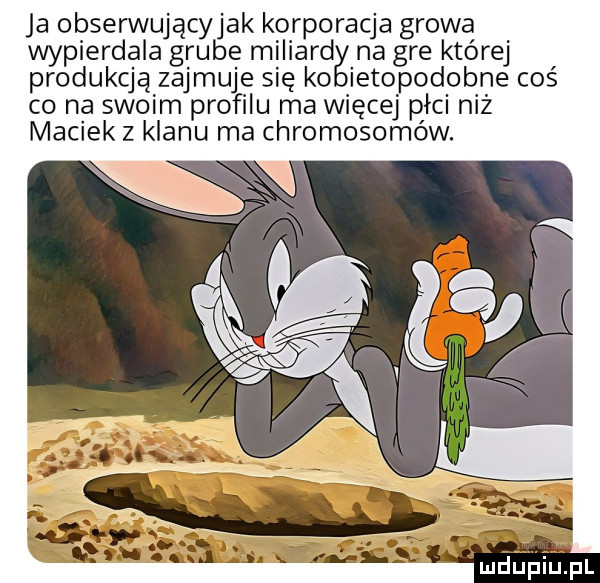 ja obserwującyjak korporacja gdowa wypierdala grube miliard na gre której produkcją zajmuje się ko ietopodobne coś co na swoim profilu ma więcej paci niż maciek z klanu ma chromosomow