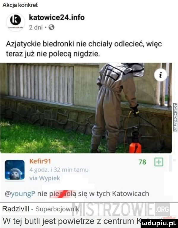 akcja konkret katowice   info lm   azjatyckie biedronki nie chcialy odlecieć więc teraz już nie polecą nigdzie. a knf r      w. nie pię olą się w tych katowmach radzivill superbojownik w tej butli jest powietrze z centrum w