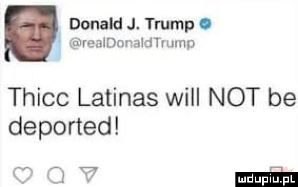 donald j. trump i ę realetaldtvump thicc latinos will not be deponed   ma