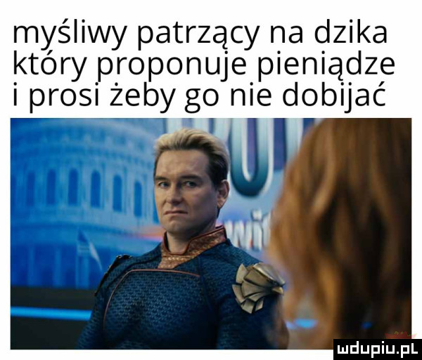 myśliwy patrzący na dzika kt tary proponuje pieniądze pr   żeby go nie dobijać