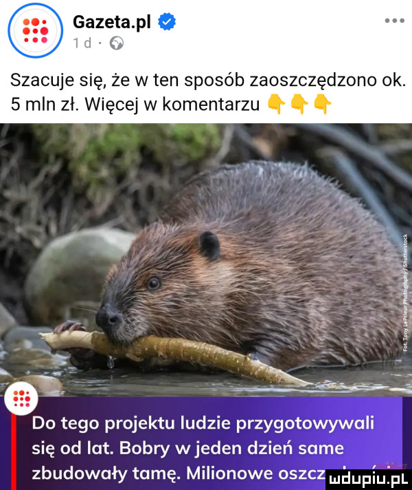 gazeta pl o   d szacuje się że w ten sposób zaoszczędzone ok.   mln zł. więcej w komentarzu i ma do tego projektu ludzie przygotowywali się od lat. bobry wjeden dzień same zbudowały tamę. milionowe osacz m iupiu pl