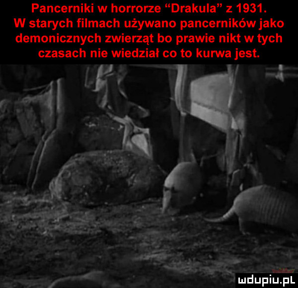 pancerniki w horrorze drakula z     . w starych filmach używano pancerników jako demonicznych zwierząt bo prawie nikt w tych czasach nie wiedział co to kurwa jest