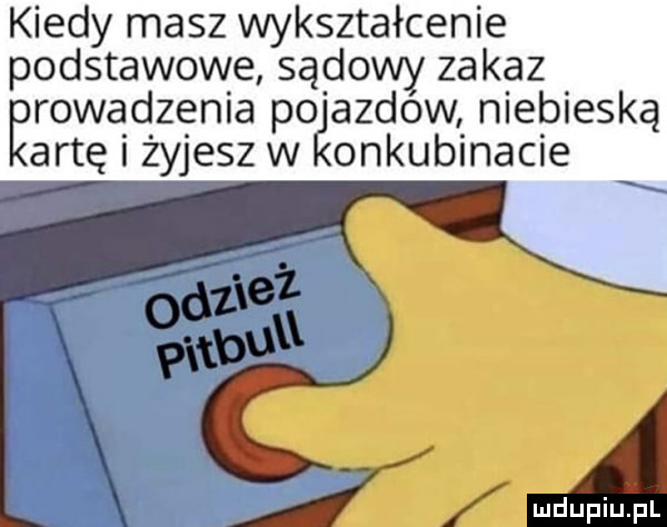 kiedy masz wykształcenie podstawowe sądowy zakaz erowądzenia p odazdow niebieską artę zyjeszw onkubinacie x a