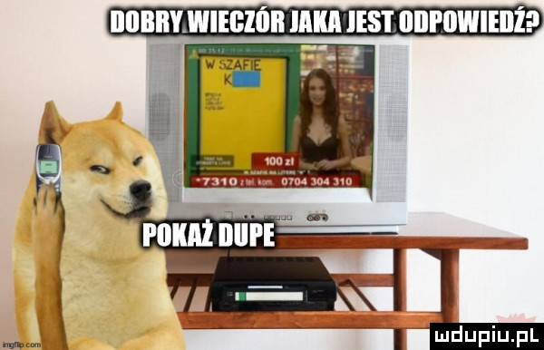 iiiibmwiegióii ima insi iiiipiiwieiiże a