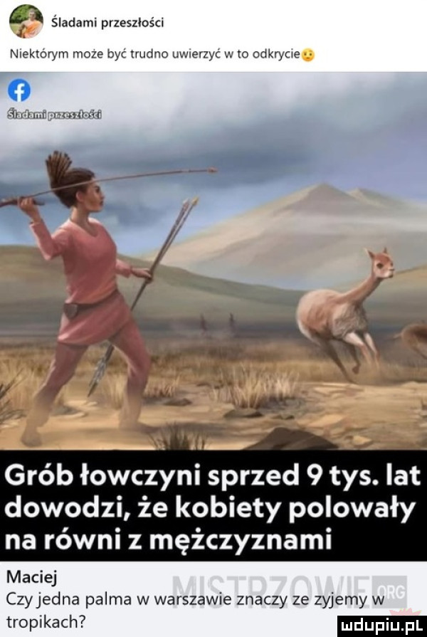 ęą. siadaml przeszłości wmvym mm w mam mm w m gik yno   in mr w r grób łowczyni sprzed   tys. lat dowodzi że kobiety polowały na równi z mężczyznami maciej czyjedna palma w warszawie znaczy ze zyjemy w tropikach