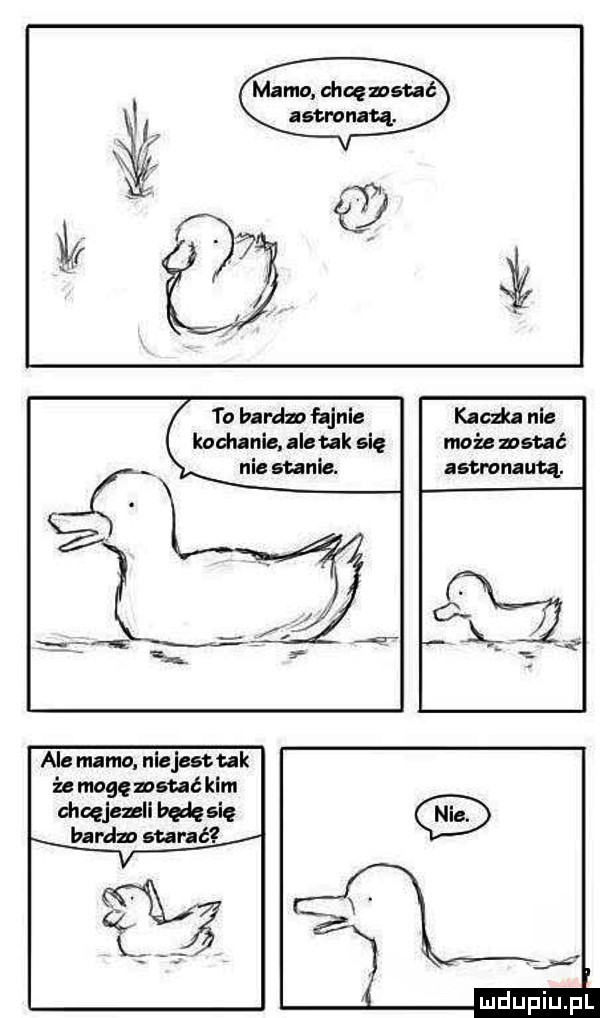 to bardon fajnie kaohanis nlsuk się nie scanie. ale mamo. niejesttak że mogę witać kim chcęjszsli będę się bardzo starać