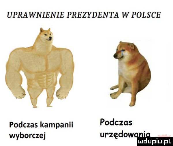 uprawnienie prezydenta wpolsce podczas kampanii podczas wyborczej urzędów. mduplu pl