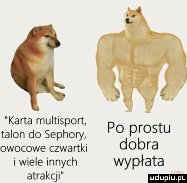 i. l t  a. karta multisport tann do sephory po prestu owocowe czwartki dobra i wiele innych wypłata atrakcji