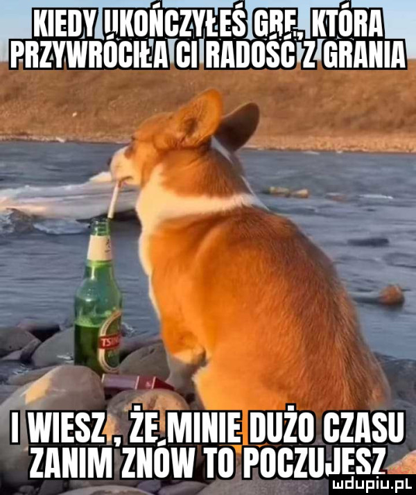 rnllauvlumńcz vteśi l aeg im mn pnsznocmmclinnnoscvzlannuin   t. iiwieszł zem n ę le czas zanim znow tu pugziijesz s  mduplu pl