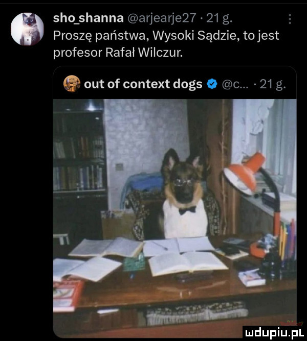 ó sio sianna arjearje      g. proszę państwa wysoki sądzie to jest profesor rafał wilczur. out of content dogs   c.    g