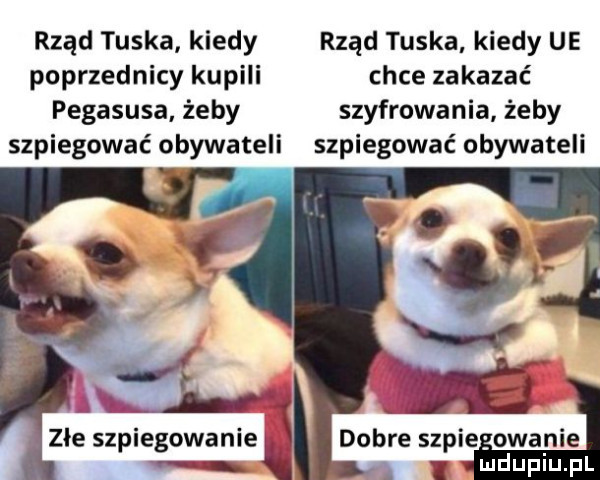 rząd tuska kiedy rząd tuska kiedy ue poprzednicy kupili chce zakazać pegasusa żeby szyfrowania żeby szpiegować obywateli szpiegować obywateli m dobre sapie olanie i j złe szpiegowanie