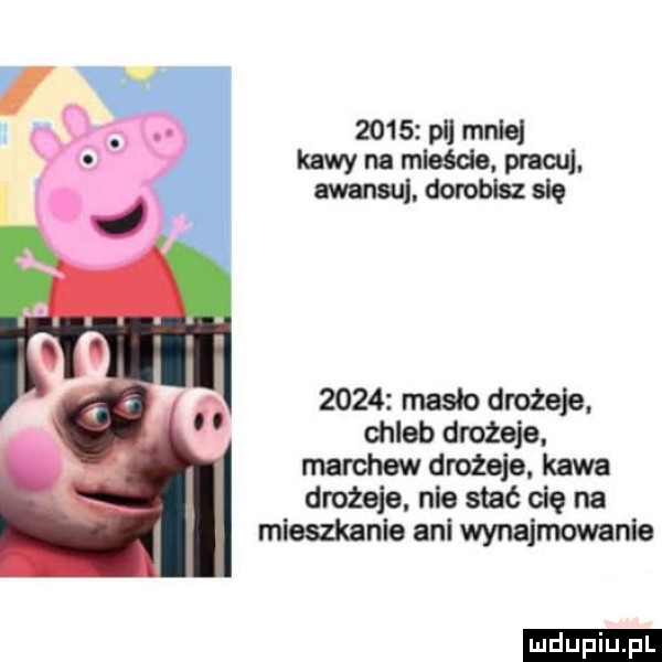 pl mnie kawy na mieście praw. awmsu. dombhz się      maslo drożeje. chleb drożeje mrohew drożeje. kawa drożeje. nie stać cię na mianie aol wynajmowanie ludu iu. l