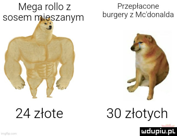 mega rolbo z sosem mieszanym j    złote przepłacone burgery z mc donalda    złotych