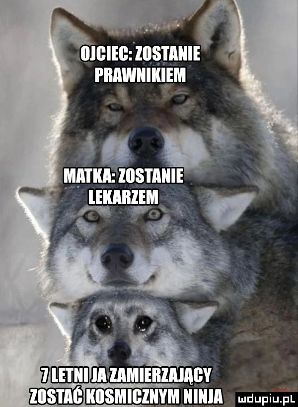 mam. znsum rnnwmx lm u leﬂblem. f ummznmvznmmmnv ebib eznmmmn mel