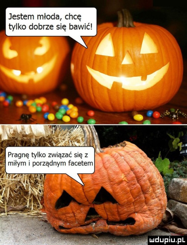 jestem młoda chcę tylko dobrze się bawić pragnę tylko zwązać się z małym porządnym facetem