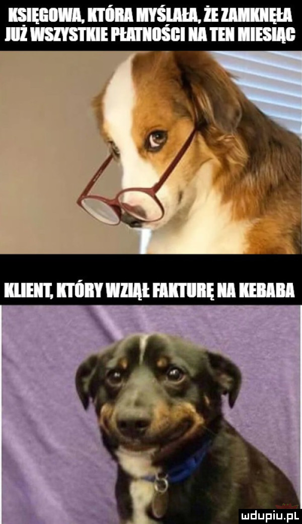lum wn. nmmuumm mmm fiiiiigbiiiateiiiiesiiłg
