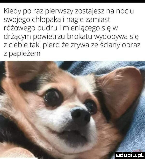 kiedy po raz pierwszy zostajesz na risc u swojego chłopaka i nagle zamiast różowego pudru i mieniącego się w drżącym powietrzu brokatu wydobywa się z ciebie taki pierd że zrywa ze ściany obraz z papieżem