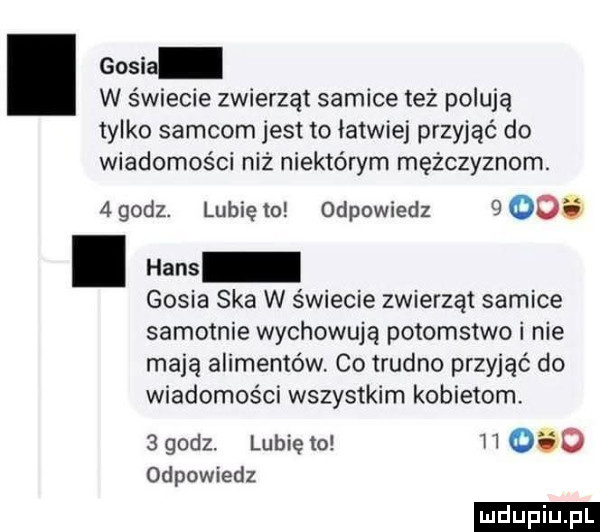 gosia w świecie zwierząt samice też polują tylko samcom jest to łatwiej przyjąć do wiadomości niż niektórym mężczyznom.   godz. lubię to odpowiedz       gosia ska w świecie zwierząt samice samotnie wychowują potomstwo i nie mają alimentów. co trudno przyjąć do wiadomości wszystkim kobietom.   godz. lubię to    odpowiedz