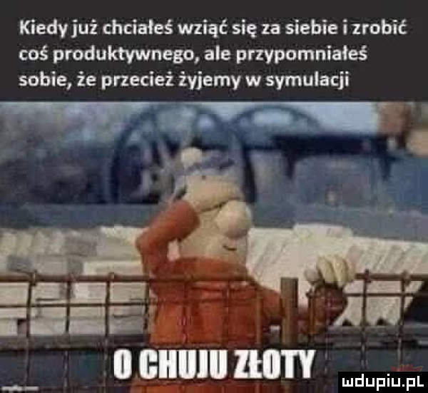 kiedy już chciałeś wziąć się za siebie i zrobić coś produktywnego ale przypomniałeś sobie że przecież żyjemy w symulacji ll ﬂlllllll lłil i y