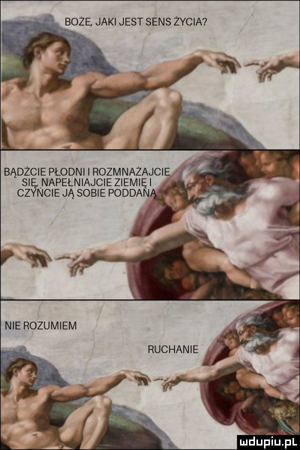 boże jaki jest sens zycia bądźcie płodni i rozmnażajcie s ęvnapelniajcie ziemię czyncie ją sobie poddan nie rozumiem