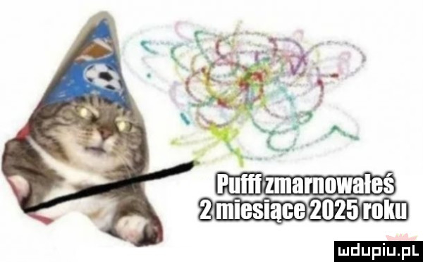 furii  marnowałeś   miesiace znzrn roku ludu iu. l