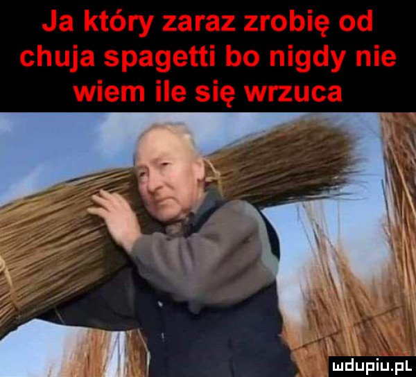 i wdupiu pl