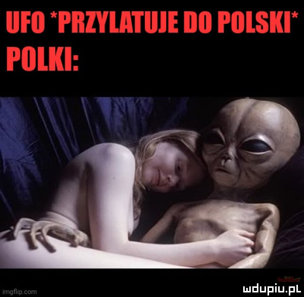 Obrazek