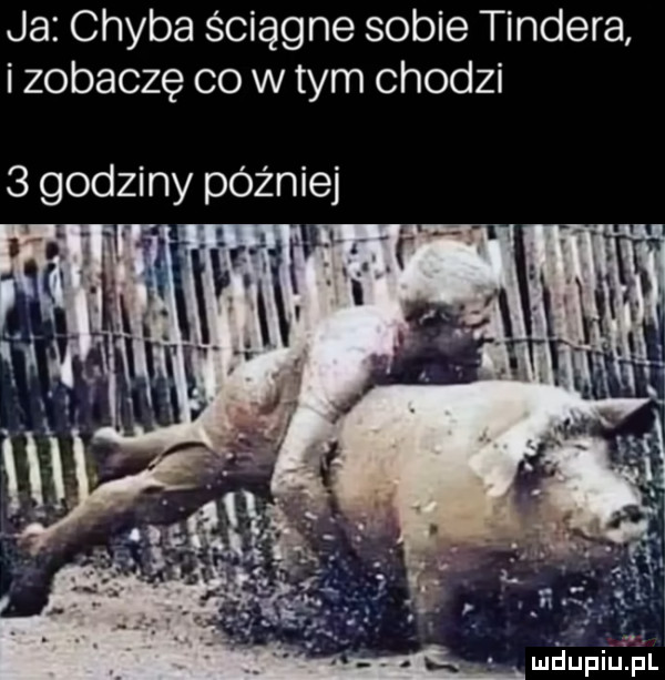 ja chyba ściągne sobie tondera i zobaczę co wtem chodzi   godziny później. mhupiulp l