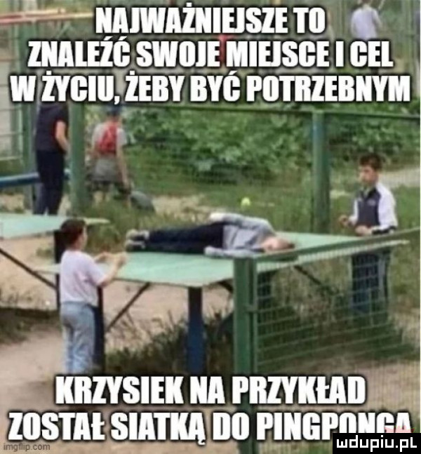 f iiimhiiieisie i ll. ziiileżii swine l ieisge i bel i engine być pii i iiiebiiyii. i i q e krzysiek iii i iizykiiiii ibis i ii slnllwlljl piiigi n nl ludupiu. pl