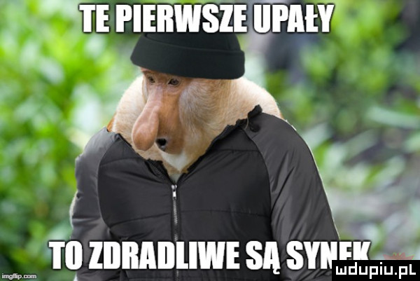 r. i ieiiwsie urny   x v a c m fil lllnailliwe sa sw   ludupiu. pl