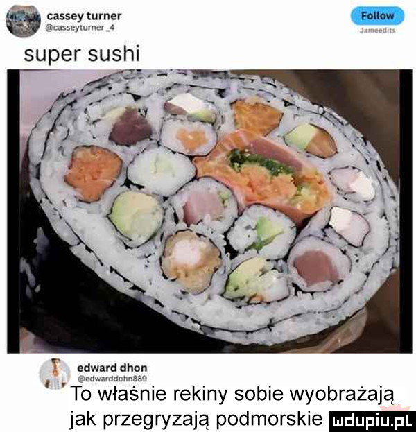 w. cassey turner super su h hme rekiny sobie wyobrażają jak przegryzają podmorskie