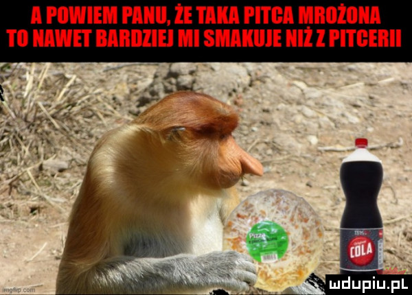 a powiem piiiii. że taka i i i ga mbużiiiia l ll nawet bibiiiiei mi smaki iiiż l i i i geiiii