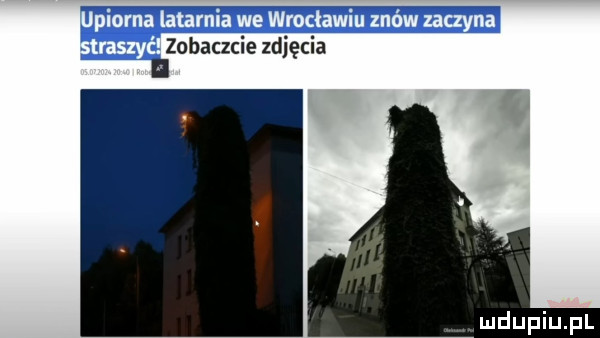 zobaczcie zdjęcia