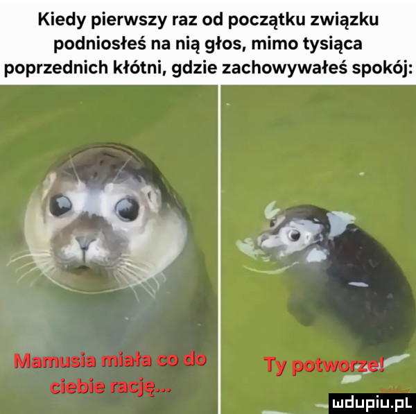 kiedy pierwszy raz od początku związku podniosłeś na nią głos mimo tysiąca poprzednich kłótni gdzie zachowywałeś spokój. mamusia miała co do ty potwora ciebie rację. ludupiu pl