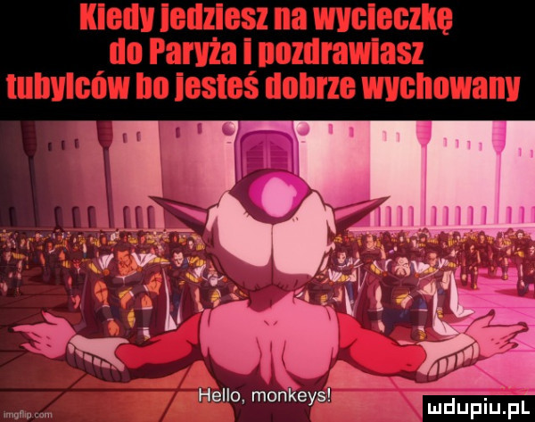 hello monkeys