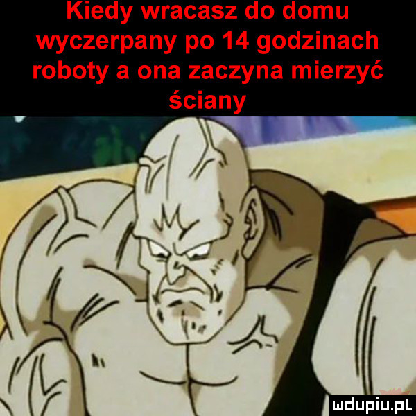 kiedy wracasz do domu wyczerpany po    godzinach roboty a ona zaczyna mierzyć ściany