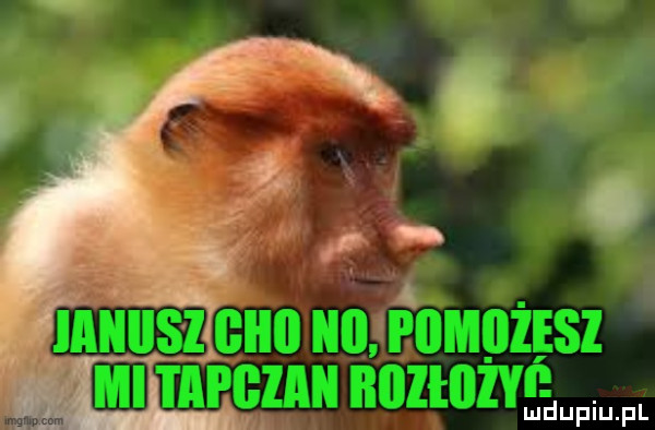 Obrazek